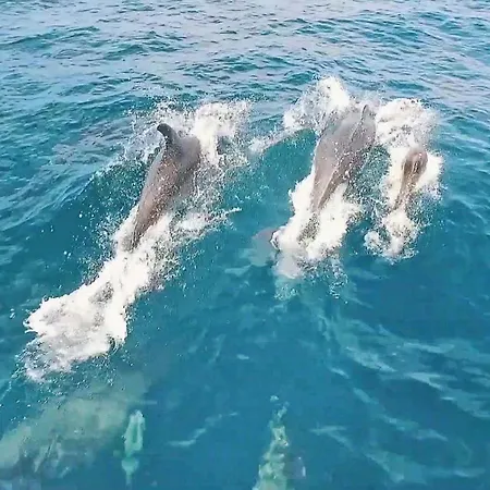 Jamaica By Algarve Vacation דירה אלבופיירה